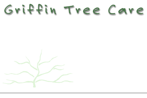 Griffin Tree Care's Photo
